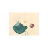 UNKNOWN ARTIST 佚名 Study of a lotus flower 蓮花