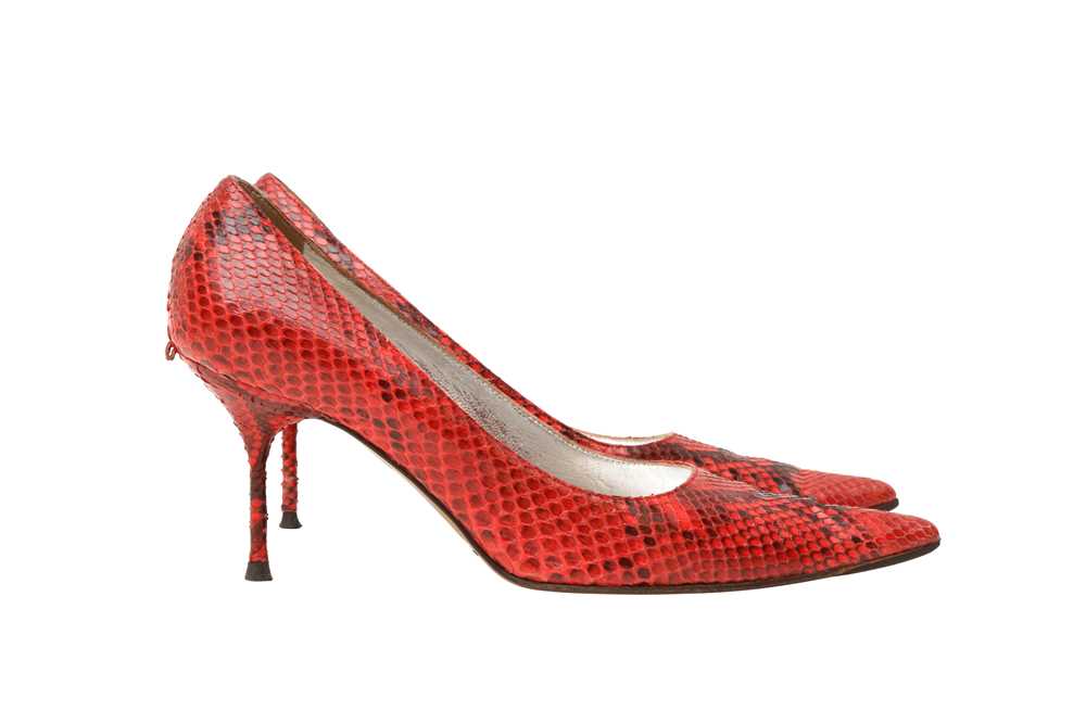 λ Dolce & Gabbana Red Python Heeled Pump