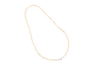 A CULTURED PEARL AND DIAMOND LONG NECKLACE