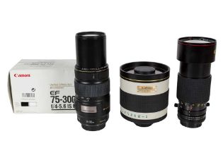 A Selection of Canon Telphoto Zoom Lenses.