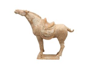 A CHINESE POTTERY MODEL OF A HORSE 唐 陶馬