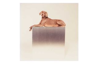 William Wegman (b.1943)