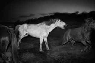 Trent Parke (b.1971)