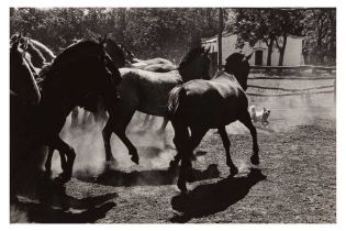 Elliott Erwitt (b.1928)