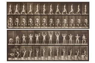 Eadweard Muybridge (1830-1904)