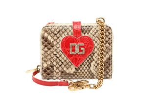 Dolce & Gabbana Natural Python Wallet On Chain