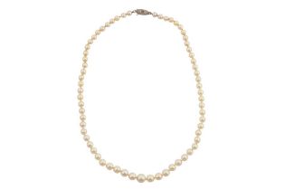 MIKIMOTO | A CULTURED PEARL NECKLACE