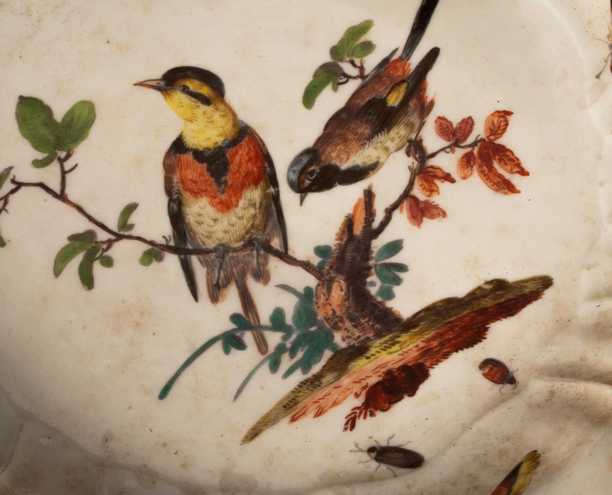 Four Meissen neu Brandenstein pattern ornithological plates, early 19th Century, - Image 3 of 9