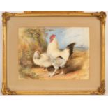 Charles Henry Weigall (1794-1877)/Cockerel and Hen/watercolour, 24cm x 32.