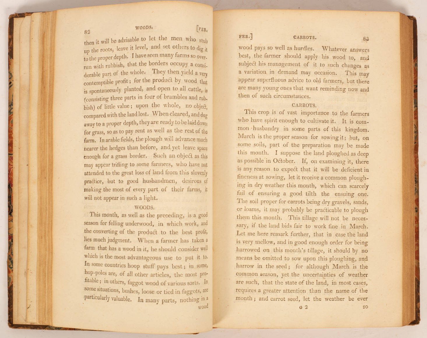 Young (Arthur) Rural Oeconomy, 1st Dublin edition 1770, contemporary full calf, - Image 2 of 2