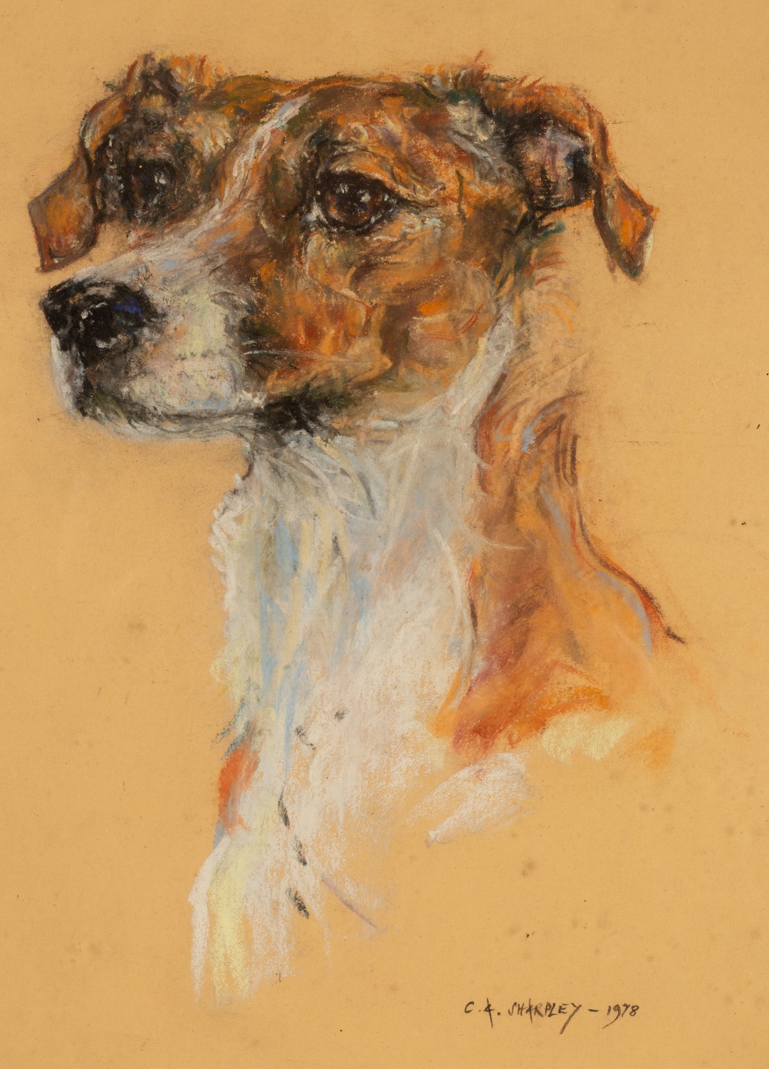 Joan Wanklyn (1924-1999)/Tina/portrait of a dog/signed and dated 1960 lower right/mixed media, - Image 3 of 3