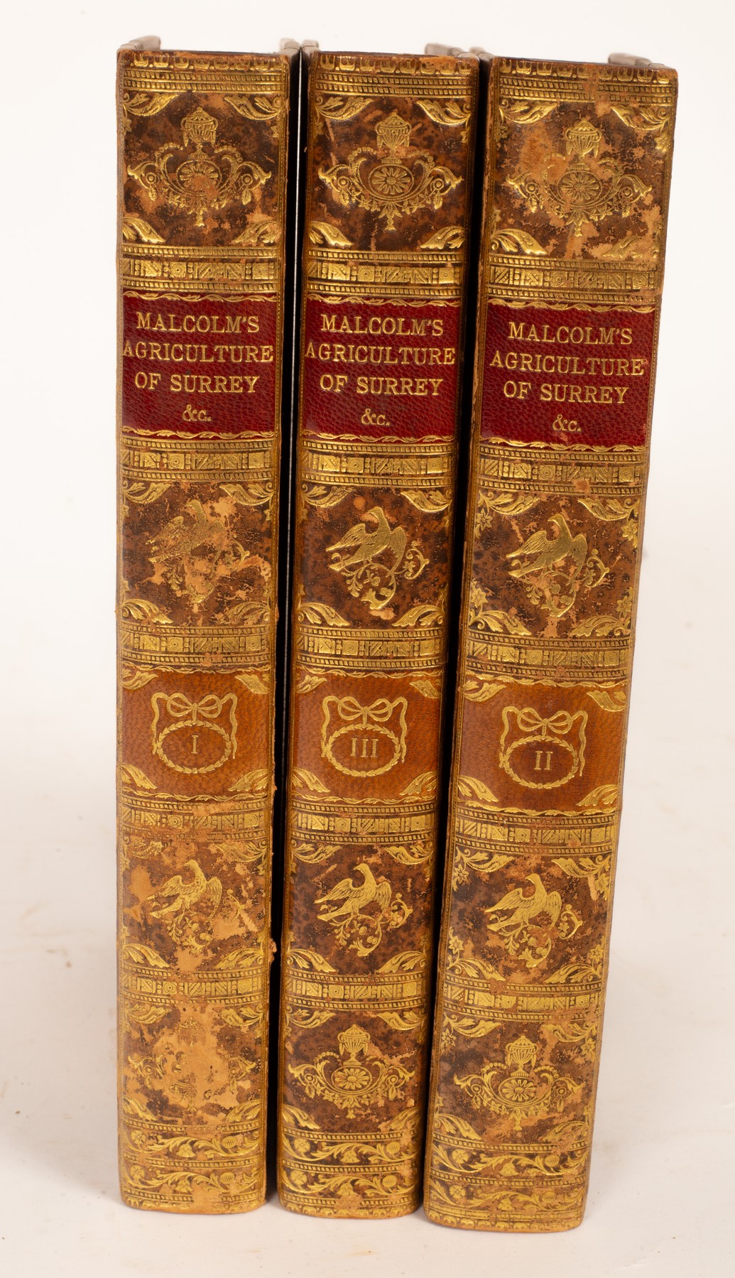 Malcolm (James) A Compendium of Modern Husbandry... - Image 2 of 3