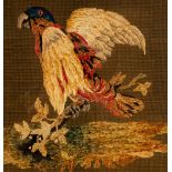 A needlework picture of a parrot, 46cm x 50cm,