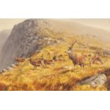 Roger McPhail (born 1953)/A Herd of Stags/signed in pencil lower right/limited edition,
