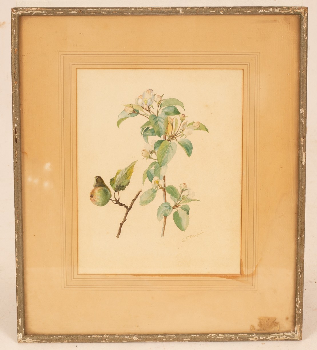 Ida Southwell Perrin (1861-1953)/Apple Blossom/signed/watercolour, 29cm x 22. - Image 2 of 4