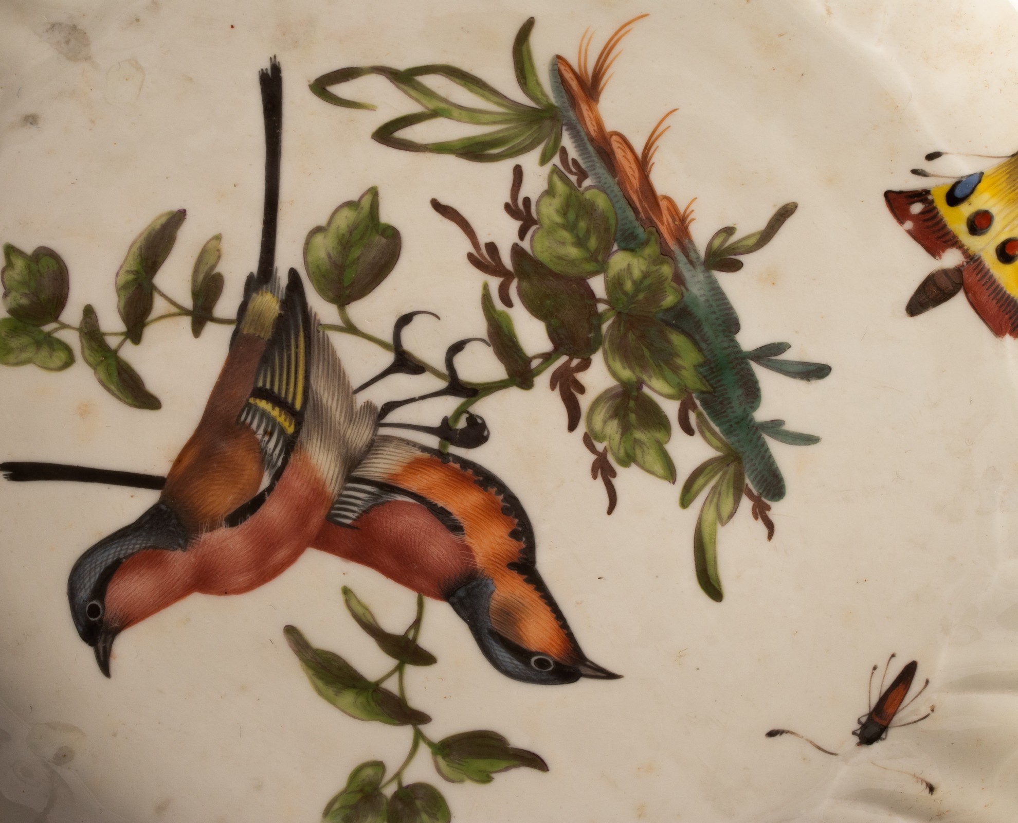 Four Meissen neu Brandenstein pattern ornithological plates, early 19th Century, - Image 4 of 9