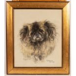 Marjorie Cox (1915-2003)/Wong/portrait of a dog/signed lower left/titled and dated lower right