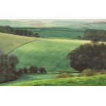 Malcolm Ashman (born 1957)/Early Spring/a view towards Englishcombe/watercolour, 38cm x 24.