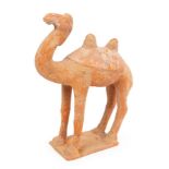 A Chinese, Tang Dynasty buff coloured pottery model of a camel, circa 700 AD,