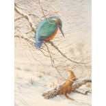 Peter Hodge (born 1949) Kingfisher and Otter in the Snow/signed/watercolour, 20cm x 15cm,