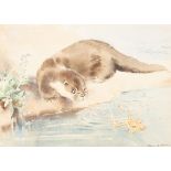 Eileen Alice Soper (1905-1990)/A Surprise Encounter/an otter cub watching a frog/signed/watercolour,