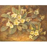 Richard Sebright (1868-1951)/Primroses on a Woodland Bank/signed R Sebright/watercolour, 21.