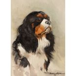 Basil Rashley Ede (1931-2016)/Portrait of a King Charles Spaniel/signed Basil Ede lower right and