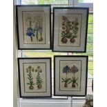 20th Century/Bulbs and Plants/eight coloured engravings, each 35.