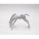 A Meissen porcelain blanc-de-chine model of a grazing foal, 20th Century,