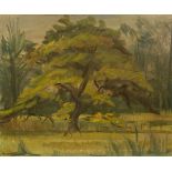 Druie Bowett (1924-1998)/Tree in a Landscape/signed/oil on canvas, 50.