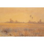Alma Claude Burlton Cull (1880-1931)/South African landscape/cattle grazing before dusk/signed and