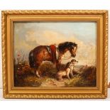 Victorian School/Highland Ponies/a pair/oil on canvas, 19.5cm x 24.