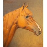 Maurice Tulloch/Portrait of a Horse's Head/signed and dated 1965/oil on canvas, 39cm x 33.