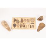 A flint axe head, possibly Neolithic, 13cm long, a flint hand axe, 6cm and a mounted card of flint,