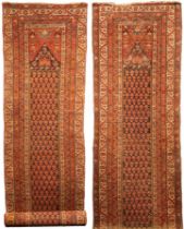 A near pair of Malayir runners, West Persia, circa 1910,