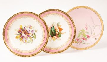 A pair of Royal Worcester plates, each painted with a flower study within pink,
