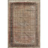 A small Malayir carpet, West Persia, mid 20th Century,
