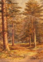 Bertha Reid/Woodland Landscape/signed and dated 1906/watercolour,