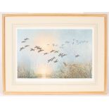 Peter Scott (1909-1989)/Ducks in Flight/signed in pencil lower right/print in colours, 34.