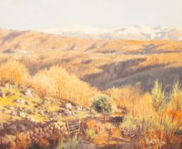 V Pauci??/Landscape with Distant Mountain/oil on canvas,