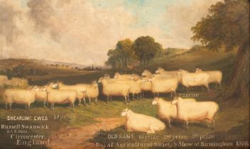 Richard Whitford (circa 1821-1890)/The Swanwick Prize Cotswold Sheep Herd/the herd of sheep bred by