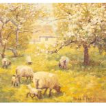 Mark Phillips (born 1951)/Spring Landscape/with sheep to foreground/signed and dated '91 lower