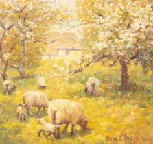 Mark Phillips (born 1951)/Spring Landscape/with sheep to foreground/signed and dated '91 lower