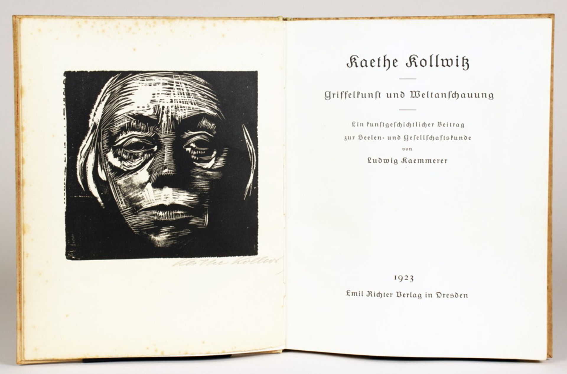 Käthe Kollwitz - Ludwig Kaemmerer. Kaethe Kollwitz. Griffelkunst und Weltanschauung.