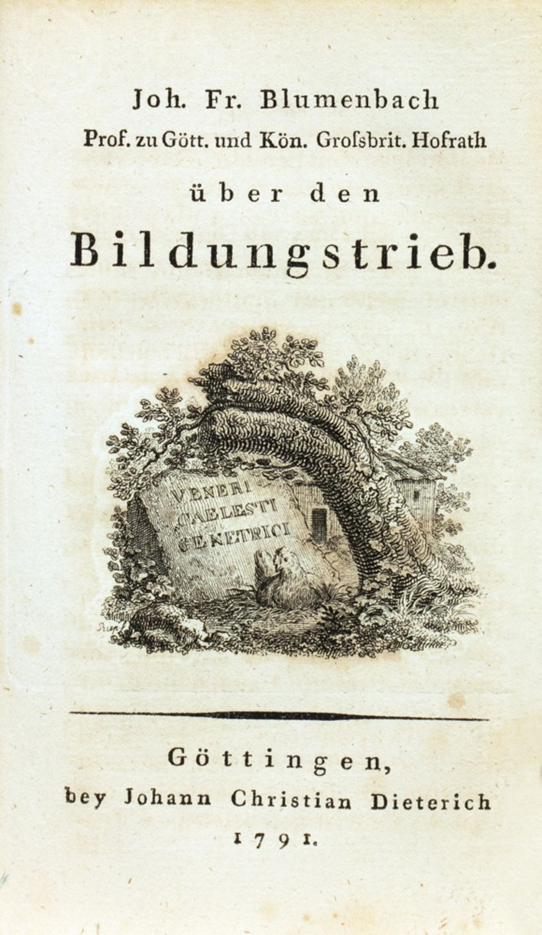 Johann Friedrich Blumenbach. Beyträge zur Naturgeschichte. - Bild 3 aus 3