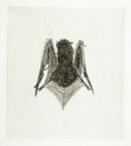 Kiki Smith. BAT back. - BAT front.