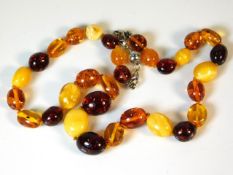 An amber necklace with insects including wasp & fl