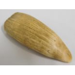 A 19thC. unworked sperm whale tooth, sold with cur