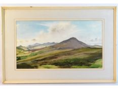 A framed John Hobson Nicholson (Douglas school, 19