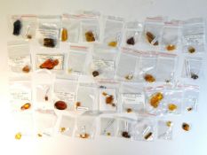 A quantity of amber fossils mostly with insects &